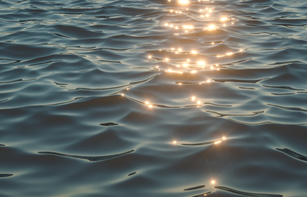 Alternative investments in the current market environment